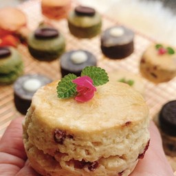 Scone