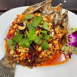 ปลากระพงลุยสวน