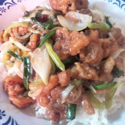 ข้าว+ไก่กรอบผัดพริกหยวก