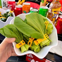 กวางตุ้งฮ่องเต้