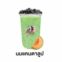นมแคนตาลูป