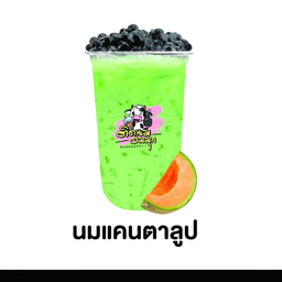 นมแคนตาลูป