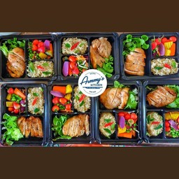 สลัดเนื้อย่าง