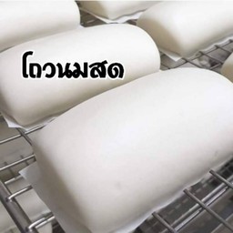 โถวนมสด