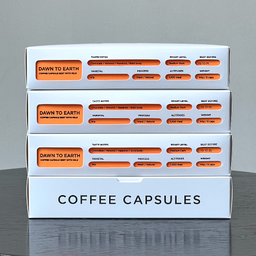 Capsule // Dawn to Earth