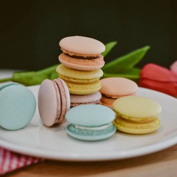 Tiramisu macaron