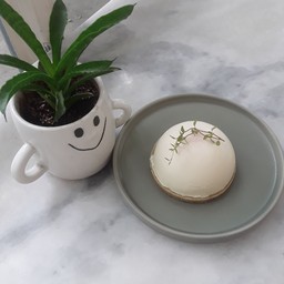 Strawberry cheese pie