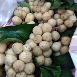 ลองกอง 1 กิโล