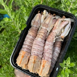 กั้งนึ่ง ตัวใหญ่ๆjumbo 300g