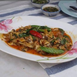 หอยลายผัดพริกเผา(แกะเปลือก)