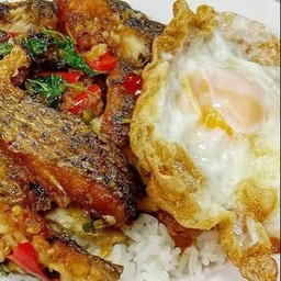 ข้าวปลานิลแกะ ผัดกระเพรา อร่อยนะคราบบ