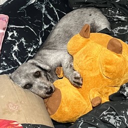 ค่าขนมน้องงง