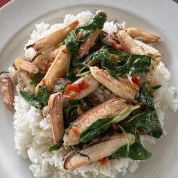 กะเพราปู