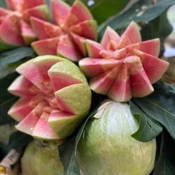 ฝรั่งไส้แดง (พร้อมทาน)