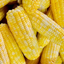 ข้าวโพดหวานต้ม2ฝัก