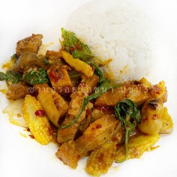 D ข้าวราดพริกเผา หมูกรอบ