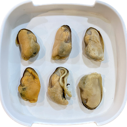 หอยแมลงภู่