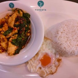 ข้าวกะเพราไก่+ไข่ดาว