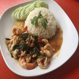 ข้าวกะเพรารวมมิตร