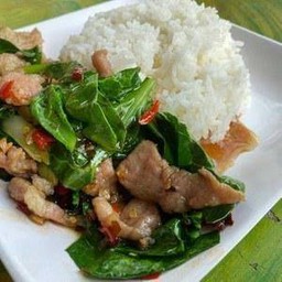 ผัดคะน้าหมูชิ้นราดข้าว