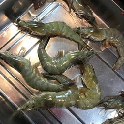 กุ้ง