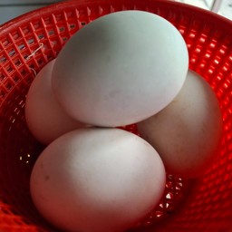 ไข่เค็ม