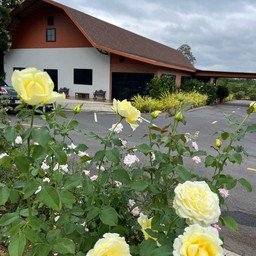 สวนกุหลาบ