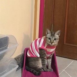 ทิปให้น้องหวี