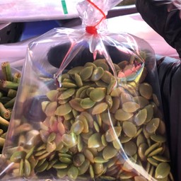 เม็ดกระถิน