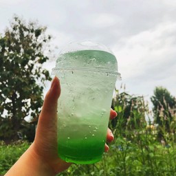 Wanderlust Elixir