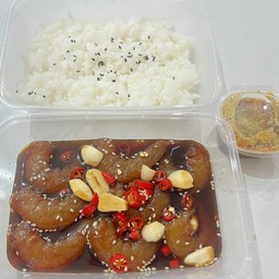 แมวดองทะเลดอง