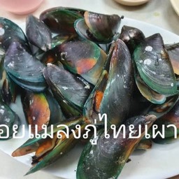 หอยแมลงภู่เผา