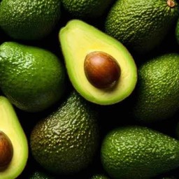 Avocado