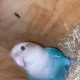 ทริปให้ คุณแม่สายฟ้า