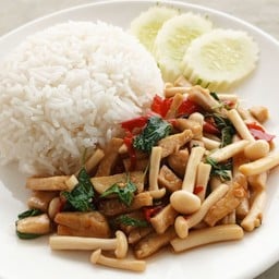 กะเพราเห็ดเต้าหู้