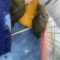 ทริป 2พี่น้อง ฝาแฝด