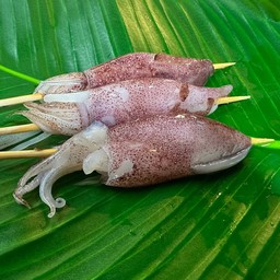 ปลาหมึก