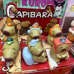 คาปิบาร่า ตั้งโต๊ะ