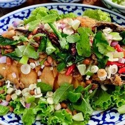 ปลาช่อนนา เสวย