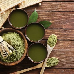 Hot Pure Matcha (มัทฉะร้อน)