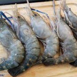 River Prawn 500G (5 Pcs.)