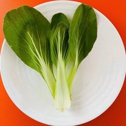 กวางตุ้งฮ่องเต้ Shanghai Cabbage