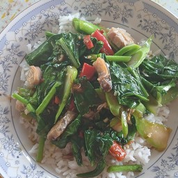 ผัดคะน้าปลาอินทรี