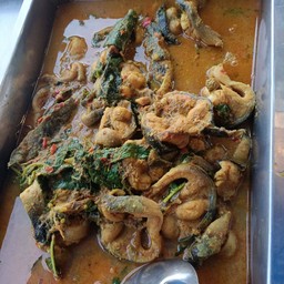 แกงปลาดุกใบยี่หร่า