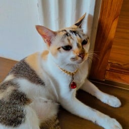 อันนี้เศร้าซึม มากกว่านี้คือกอดเสาร์เถียงแล้วนะคะ