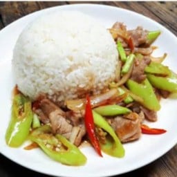 ผัดพริกหยวกหมูราดข้าว