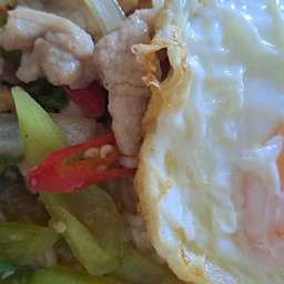 ผัดพริกหยวกราดข้าว