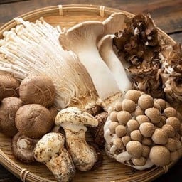 เห็ดทุกชนิด