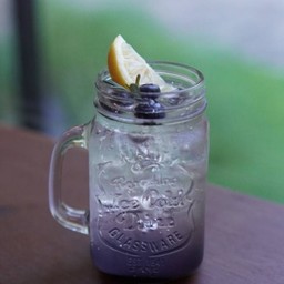 Blueberry Soda