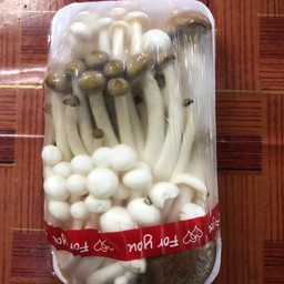 เห็ดรวม